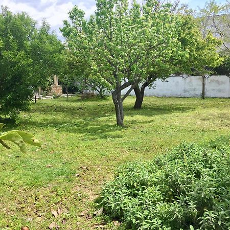 Salento Appartamenti Казалабате Екстериор снимка